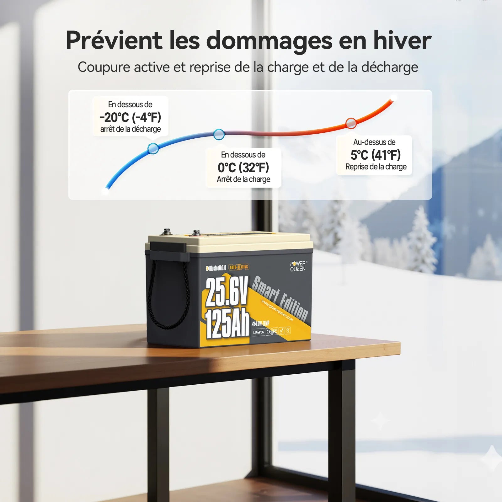 Power Queen Batterie Lithium 24V 125Ah Smart Bluetooth pour Moteur Électrique