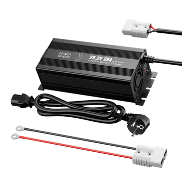 LifePO4 29.2V 20A Caricatore di Power Queen per la batteria LifePO4