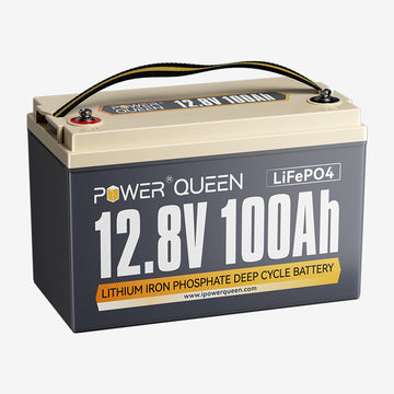 Batteria LifePO4 12V 100Ah da Power Queen, BMS 100A integrato