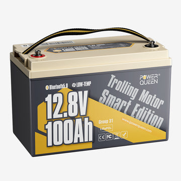 Batterie LiFePO4 12V 100Ah Basse Température avec Bluetooth