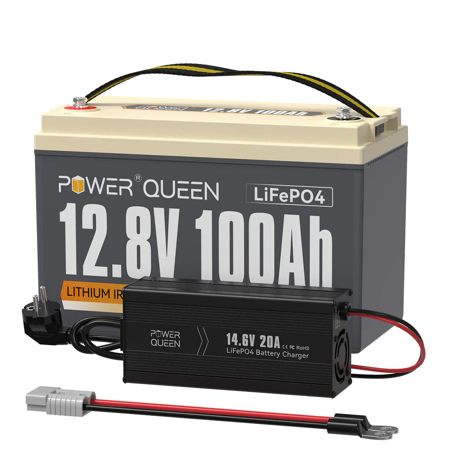 Batteria LifePO4 12V 100Ah da Power Queen, BMS 100A integrato