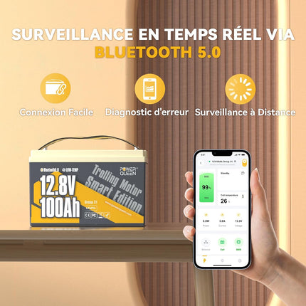 Surveillance à Distance par Bluetooth 5.0, Batterie LiFePO4 12V 100Ah LTP