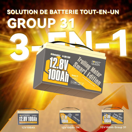 Capacité 100Ah, Basse Température et BCI Group 31, Batterie au Lithium 12V 100Ah