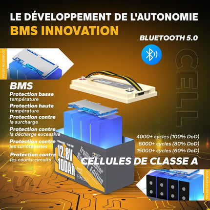 BMS avec Multi-PROTECTION et Cellules de Qualité d'Automobile, Batterie LFP 12V 100Ah LTP