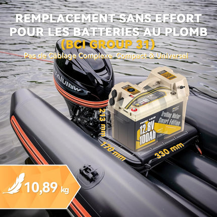 BCI GROUP 31, Compacte et Léger, Convient à l'Espace Réduit, Batterie LiFePO4 12V 100Ah LTP