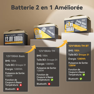 batterie température basse, batterie lithium 12v 100ah bateau