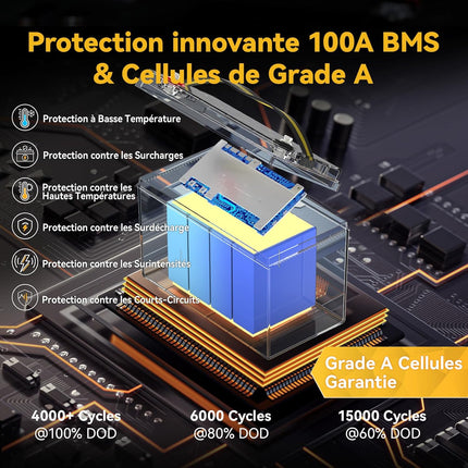 BMS 100A et Cellules d'Automobile, Batterie LiFePO4 12V 100Ah Basse Température