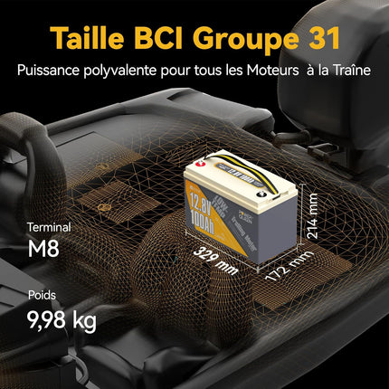 Taille BCI Group 31, Batterie Évolutive 12V 100Ah