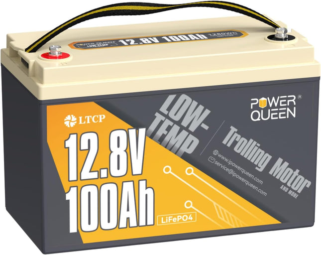 Batterie LiFePO4 12V 100Ah Basse Température