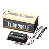 Batteria LifePO4 12V 200ah da Power Queen, BMS 100A integrato