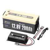 LIFEPO4 12V 200AH Battery Plus Power Queen, BMS 200a integrado