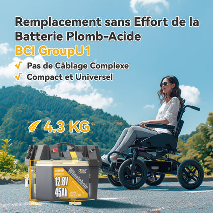 Remplacement de Batterie Plomb-acide 12V 45Ah, Batterie LiFePO4 12V 45Ah Group U1 Scotters