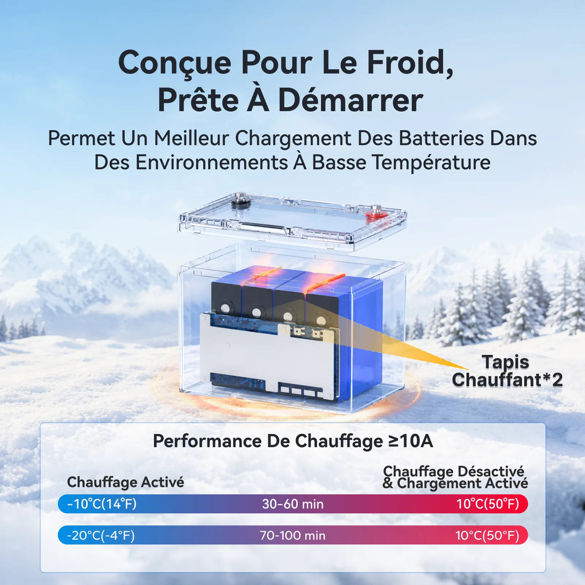 Power Queen Batterie Marine LiFePO4 12V 100Ah Group 24 - Double Usage