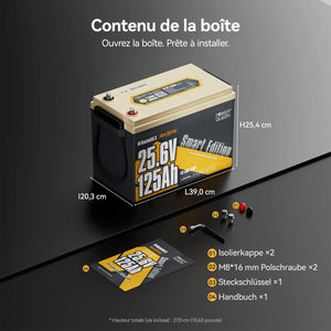 Power Queen Batterie Lithium 24V 125Ah Smart Bluetooth pour Moteur Électrique