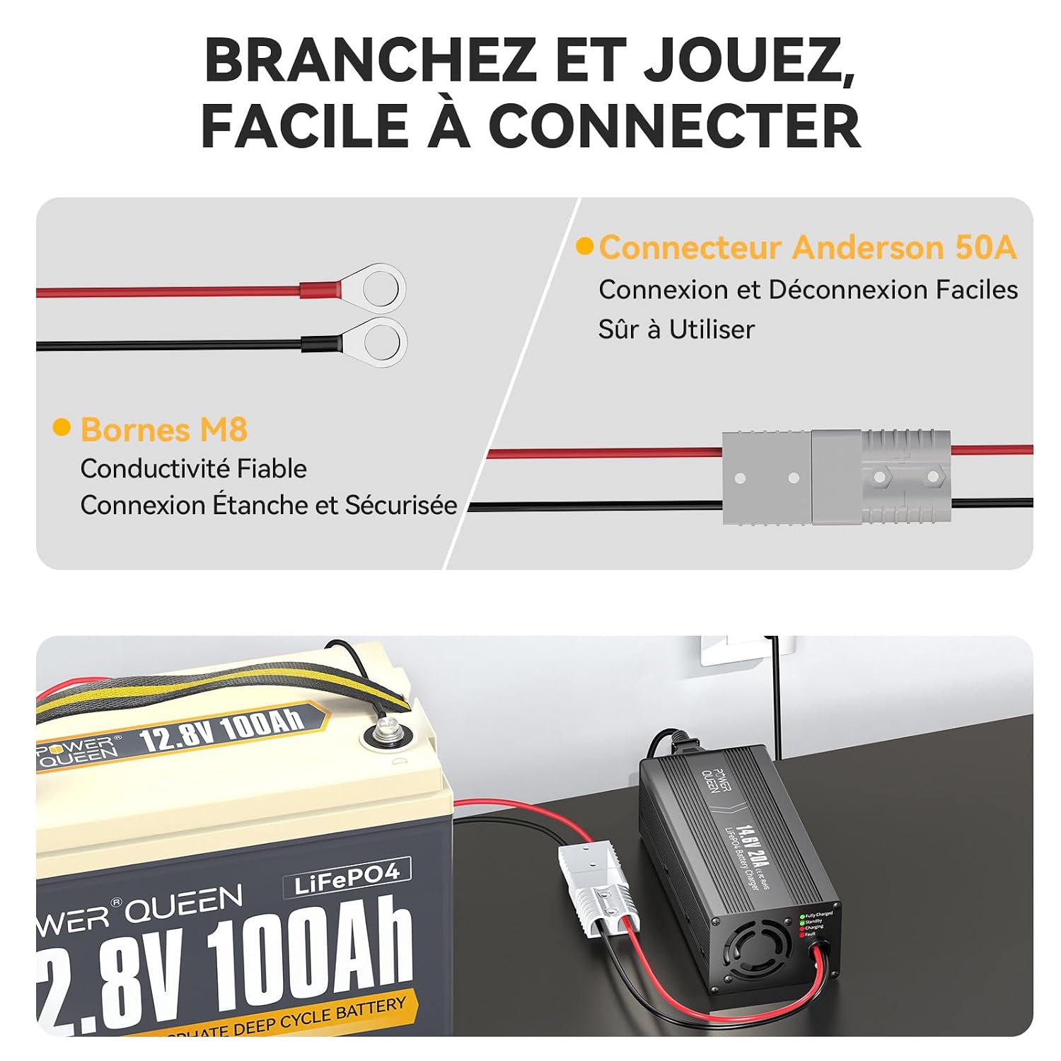Chargeur LiFePO4 14,6V 20A Power Queen avec Connecteur Anderson