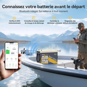 Power Queen Batterie Lithium 24V 125Ah Smart Bluetooth pour Moteur Électrique