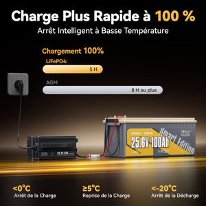 Charge rapide et sécurisé, batterie lifepo4 24v 100ah