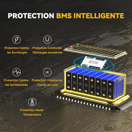 BMS 100A Intelligente, Batterie LiFePO4 24V 100Ah