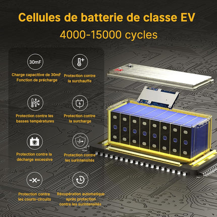 BMS 100A Multi-Protection, Batterie au Lithium 24V 100Ah avec Bluetooth