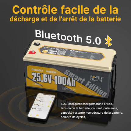 Bluetooth 5.0 Intelligent, Surveillance en Temps Réel,Batterie LFP 24V 100Ah Smart