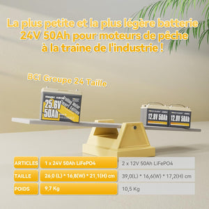 Poids et Espace Réduit, Batterie LiFePO4 24V 50Ah