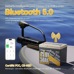 Bluetooth 5.0 Intelligent,Batterie LFP 24V 50Ah