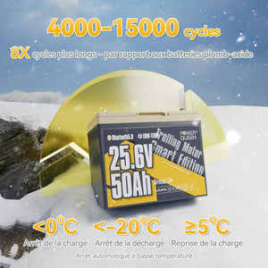 Plus de 4000 Cycles de Vie, Batterie LiFePO4 24V 50Ah
