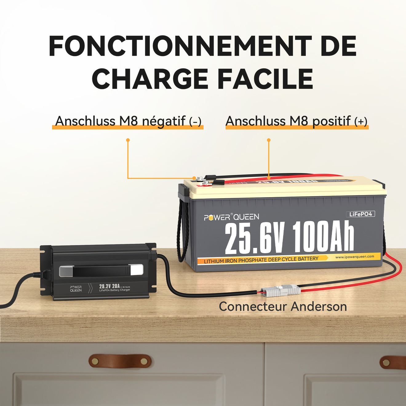 Guide d'Utilisation, Chargeur LiFePO4 29,2V 20A