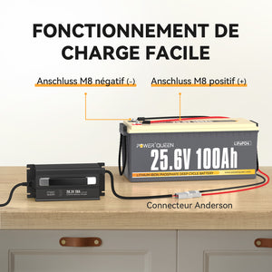 Guide d'Utilisation, Chargeur LiFePO4 29,2V 20A