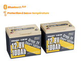 LifePo4 12V 100AH ​​battery Group 24 from Power Queen with Intelligent Bluetooth