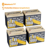 LifePo4 12V 100AH ​​battery Group 24 from Power Queen with Intelligent Bluetooth