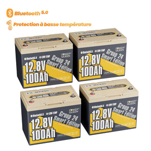 LifePo4 12V 100AH ​​battery Group 24 from Power Queen with Intelligent Bluetooth