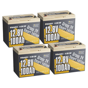 LIFEPO4 12V 100Ah Battery Group 24 de Power Queen con Bluetooth inteligente