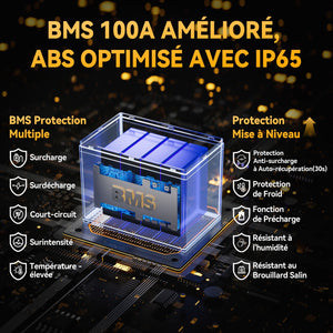BMS de 100A, Étanche IP65, Batterie LiFePO4 12V 100Ah avec Protection Low-temp