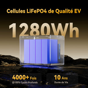 Cellules de Qualité d'Aotomobile, Longue Durée de Vie, Batterie au Lthium 12V 100Ah