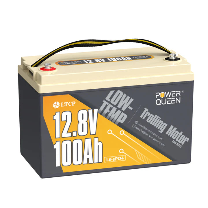 Batterie LiFePO4 12V 100Ah Basse Température