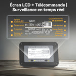 2000W DC 12V converter to AC 220-240V from Power Queen