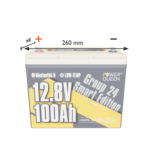 LIFEPO4 12V 100Ah Battery Group 24 de Power Queen con Bluetooth inteligente