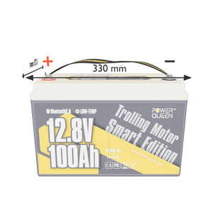 Power Queen LifePO4 12V 100Ah 12V 100 AH con Bluetooth per motori di pesca in treno